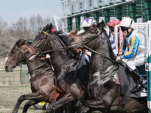 Horse Racing Accumulators and Perms